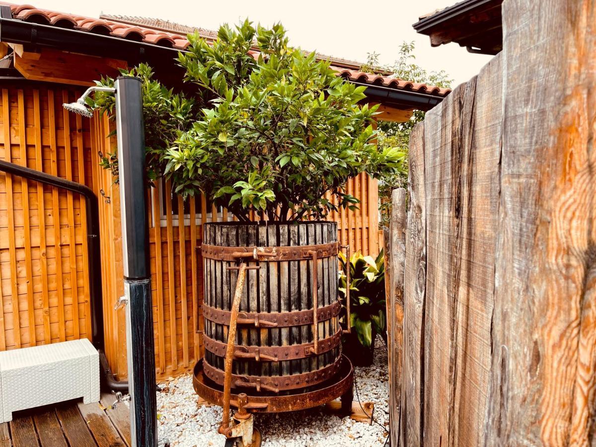 Casa da Carmen Bed & Breakfast Mezzolombardo Eksteriør bilde